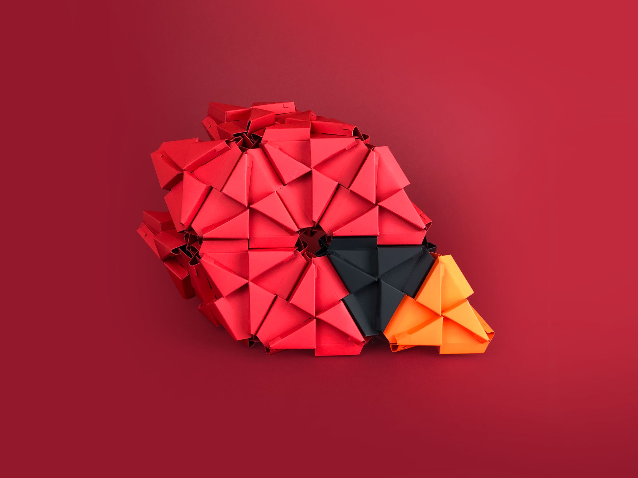 Louis in the hero image